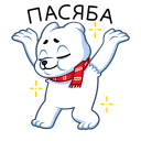 :polarmisha46: