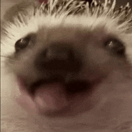 Serega_Fomkin