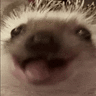 Serega_Fomkin